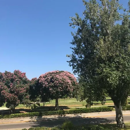 Apartamento Plaza Sainetero Arniches